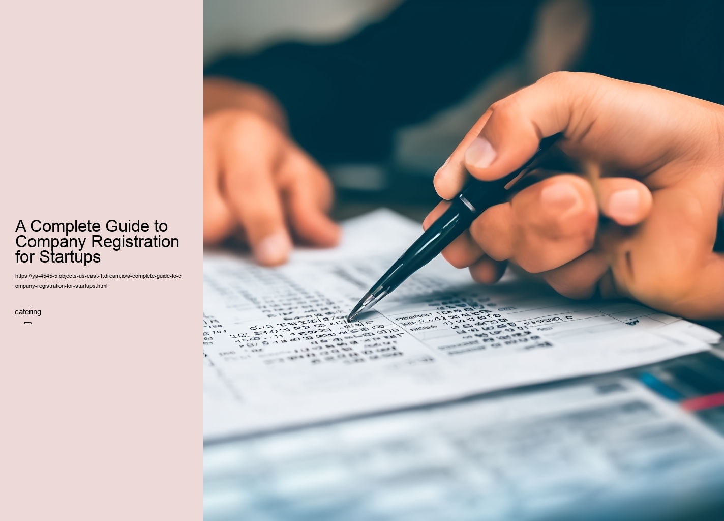 A Complete Guide to Company Registration for Startups