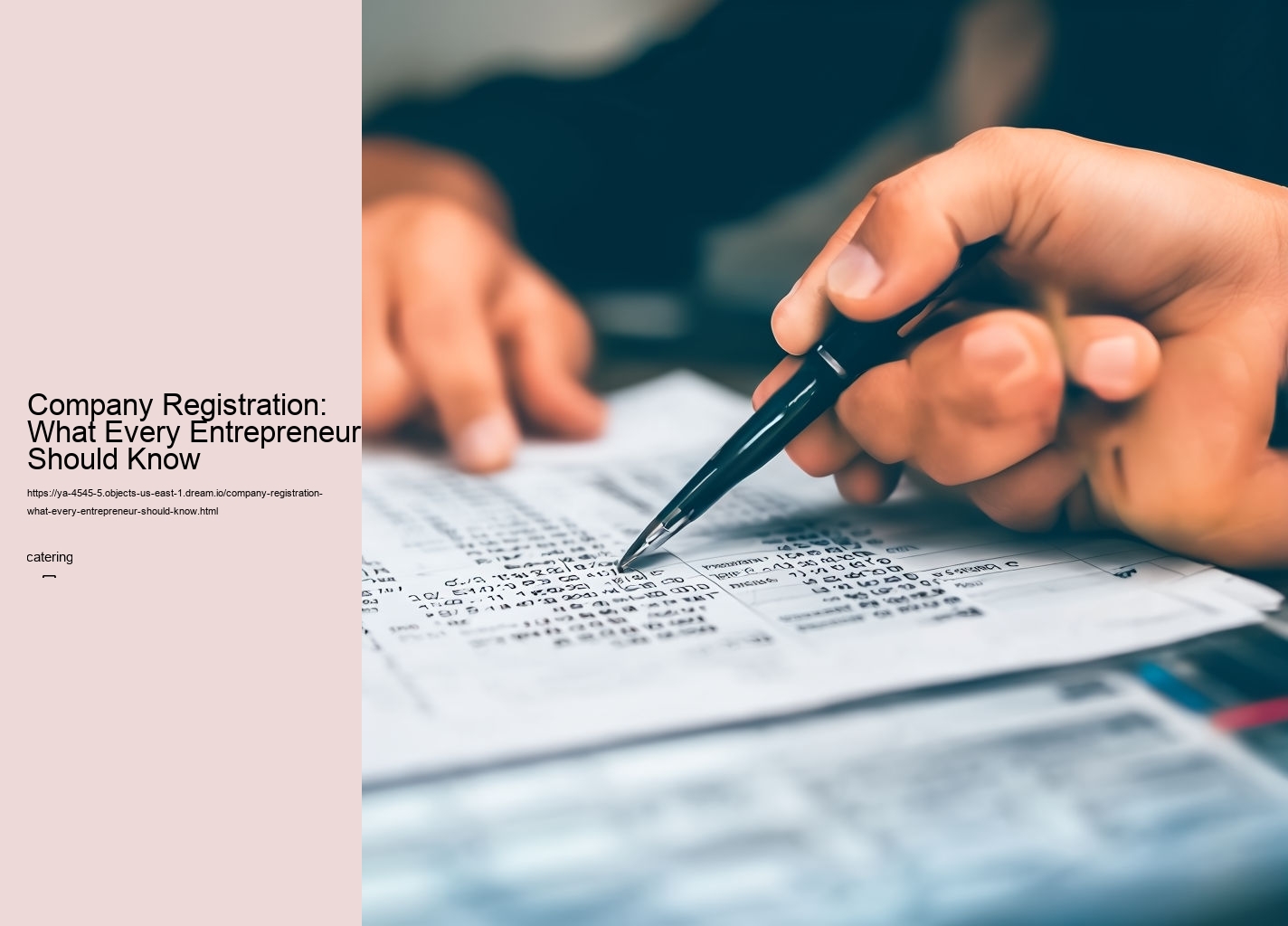 Company Registration: What Every Entrepreneur Should Know