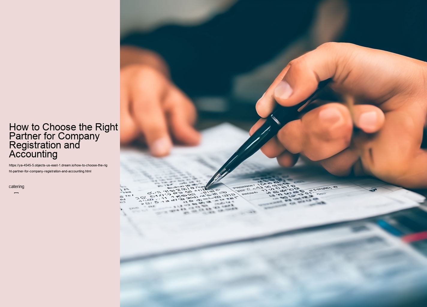 How to Choose the Right Partner for Company Registration and Accounting