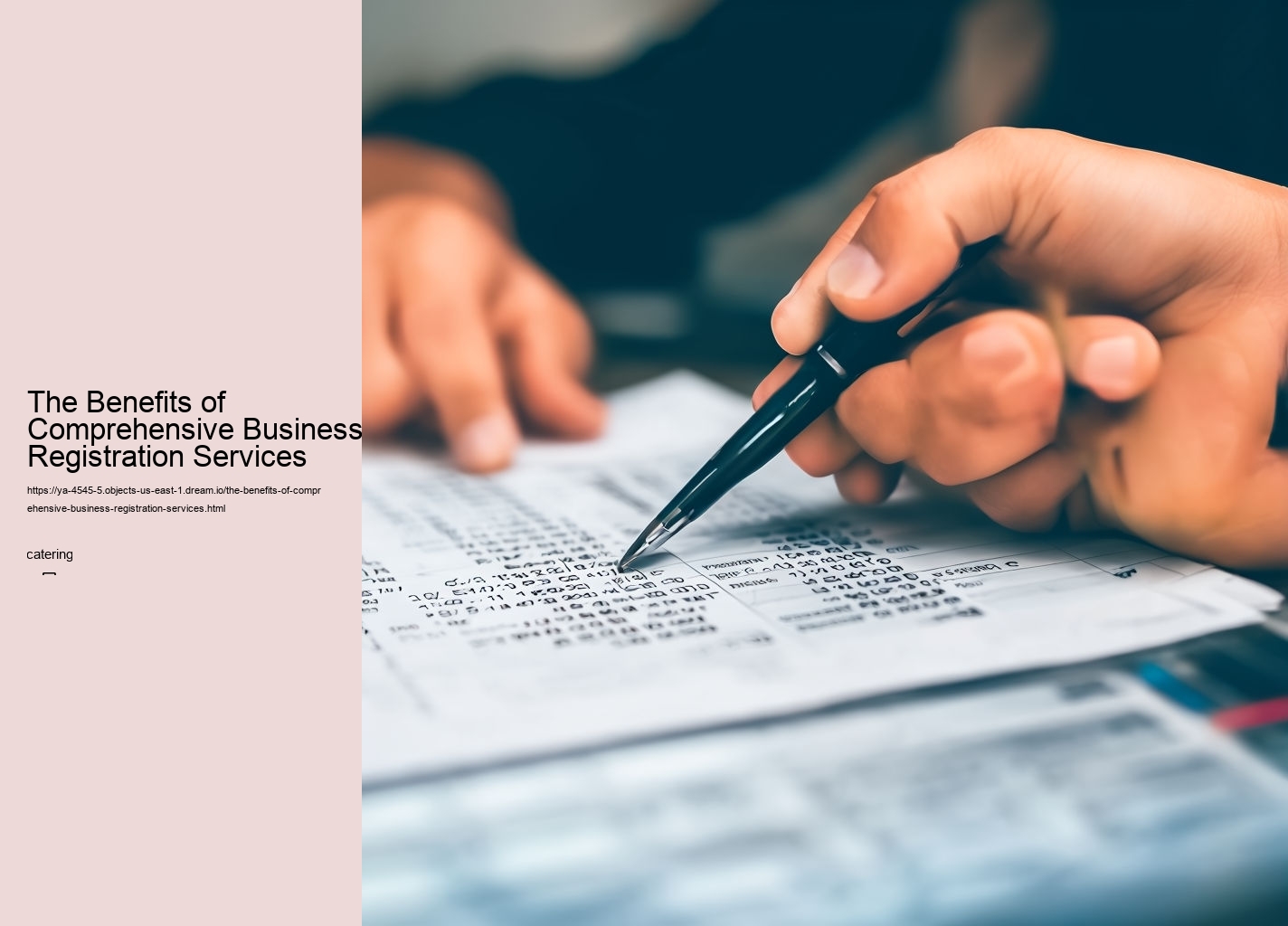 The Benefits of Comprehensive Business Registration Services